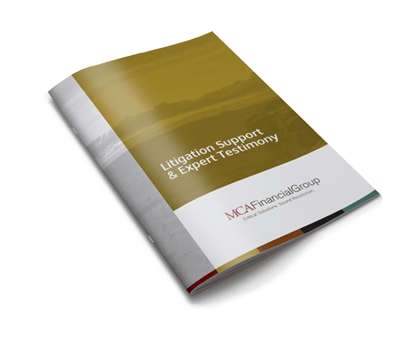 Litigation Support & Expert Testimony